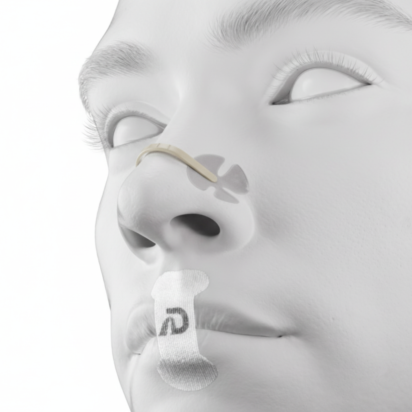 First Month Free Bundle