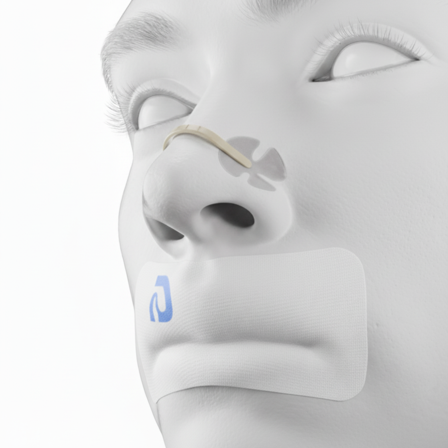 First Month Free Bundle