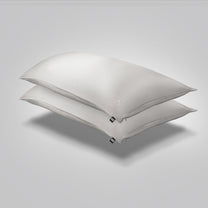 Performance Silk Pillowcase