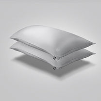 Performance Silk Pillowcase